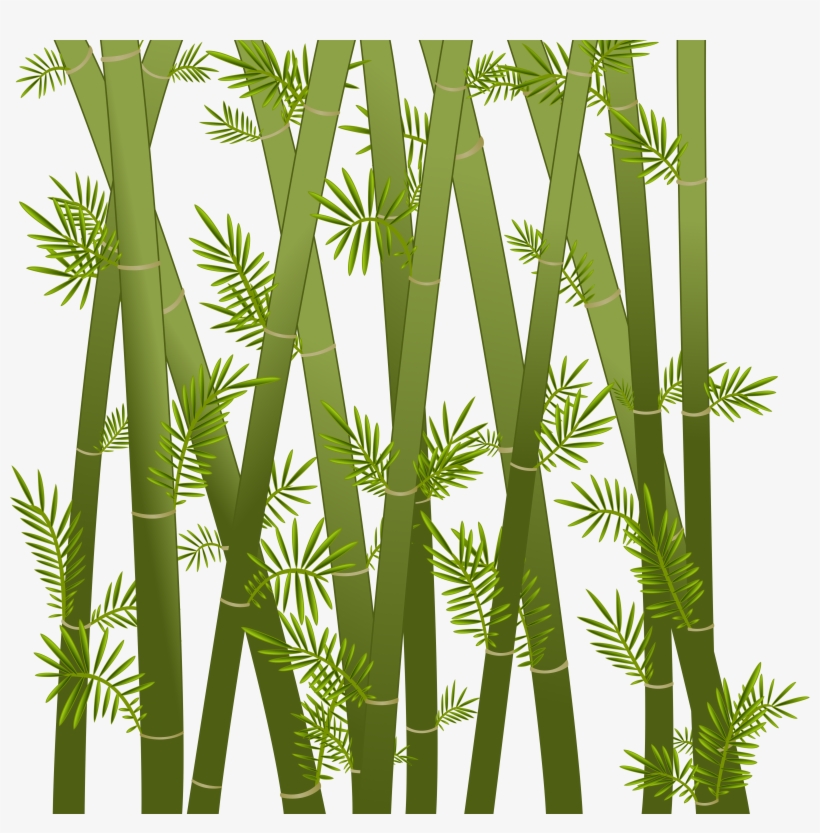 Bamboo By Blackwater627 On Deviantart - Abstract Green Bamboo On White Cross Body Bag Large, transparent png #180438