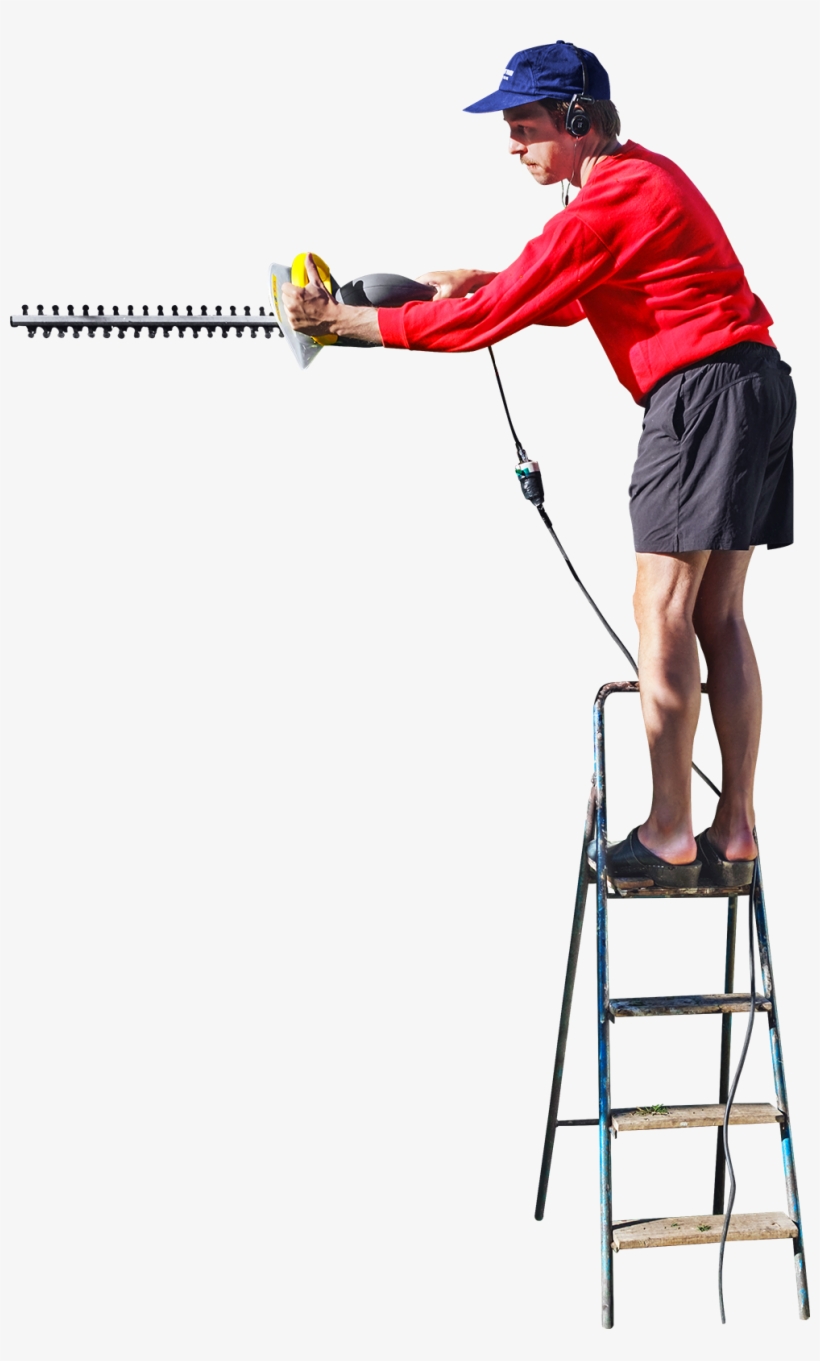 Free Png On A Ladder Cutting The Hedge Png Images Transparent - Cut Out People On Ladder, transparent png #180754