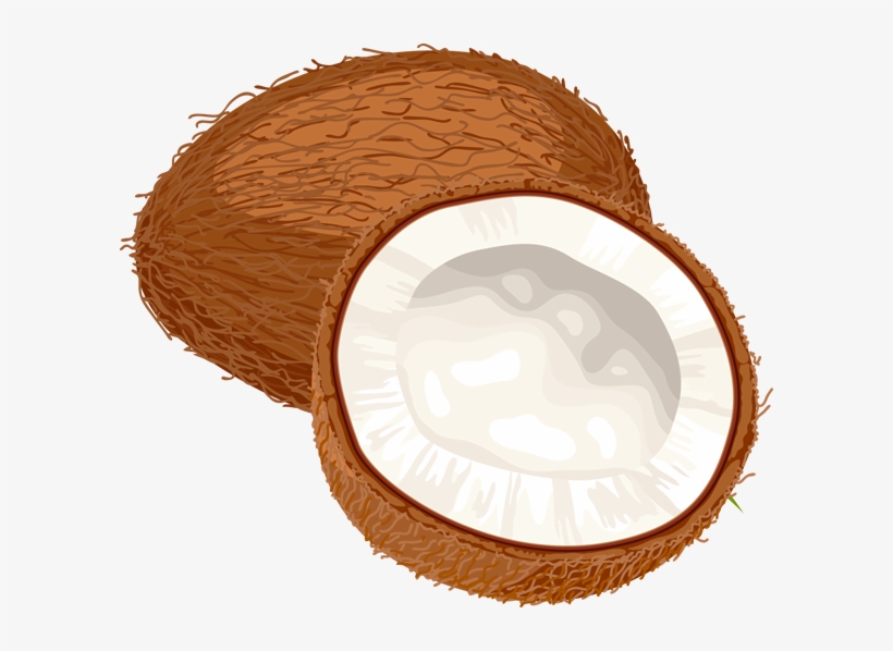 Coconut Oil Miracle: 30+ Coconut Oil Recipes Coconut, transparent png #180810
