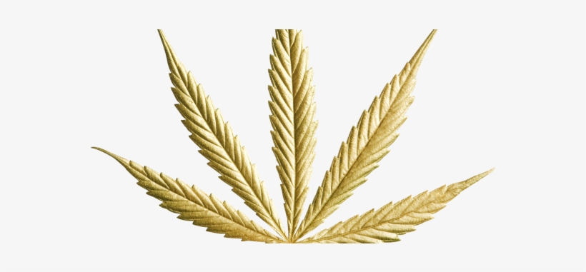 Goldmarijuanaleaf1-6 - - Gold Cannabis Leaf Png, transparent png #180855