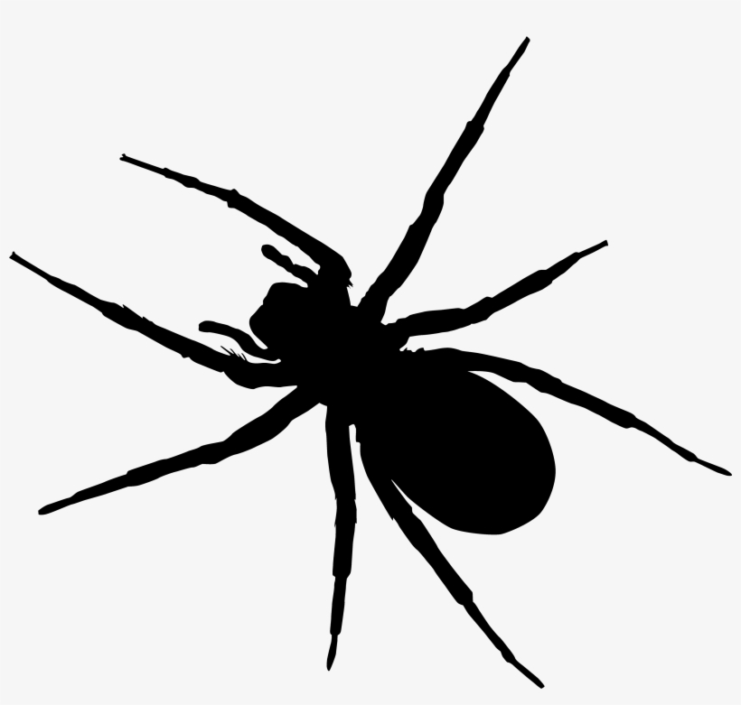 Svg Royalty Free Download Man Clip Art Transprent Png - Ant Clipart Transparent Background, transparent png #181167