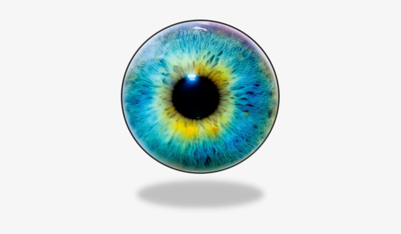 Eye Lens Eye Lens Png Eye Png Free Download - Optical Illusion Pic Of Animals, transparent png #181253