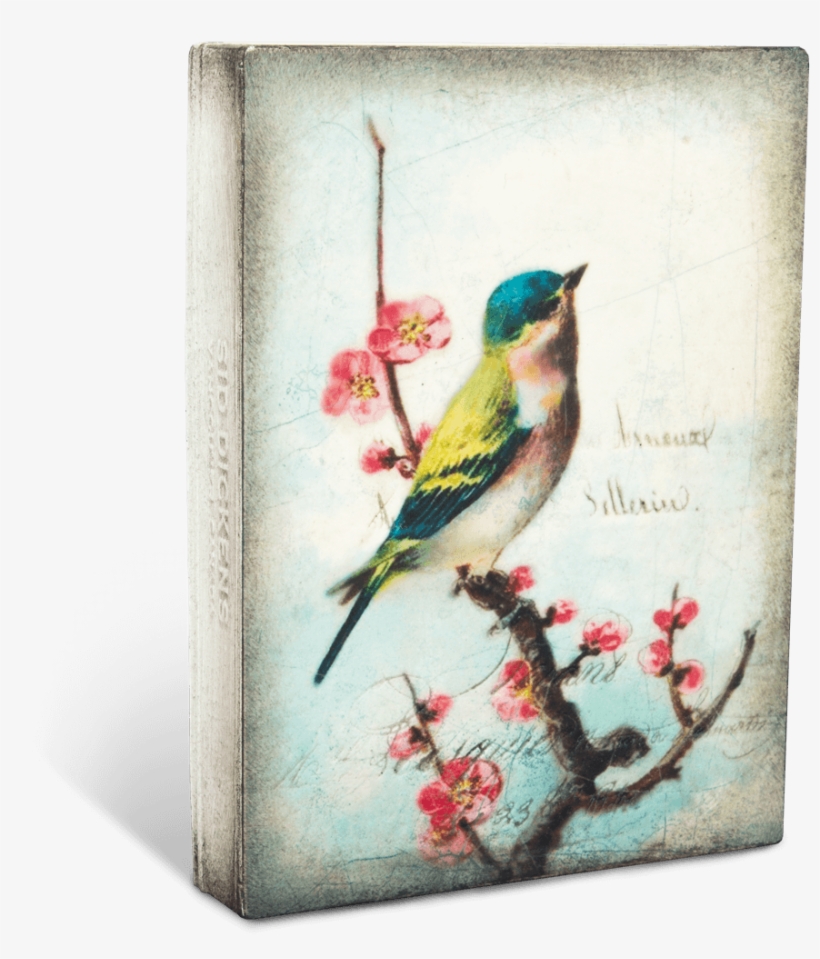 Vintage Pajaros Fondo, transparent png #181748