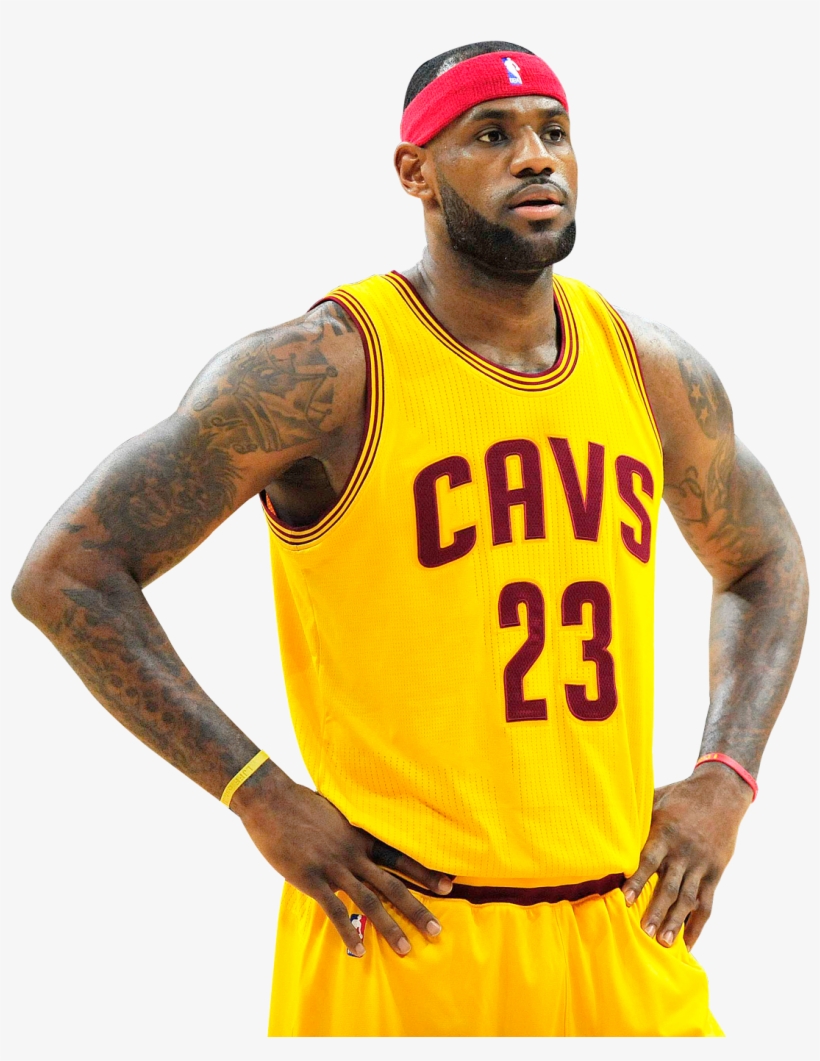 Free Icons Png - Lebron Not In My House, transparent png #182262