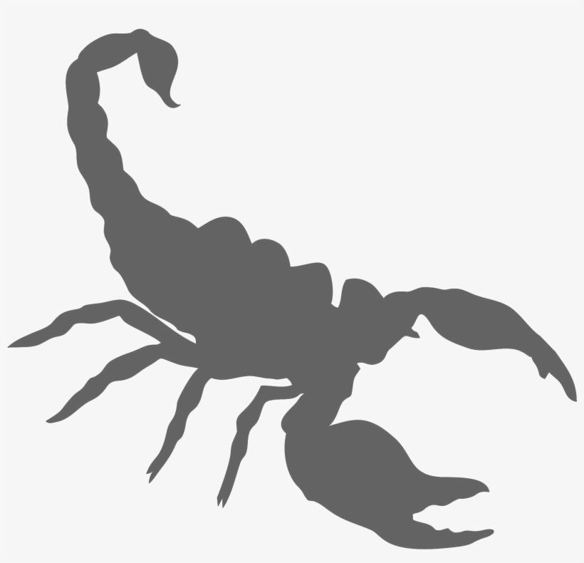 A3 Scorpion - Scorpion Png, transparent png #182487