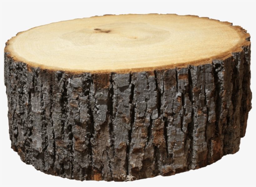 Logs - Wood Log Png, transparent png #182960