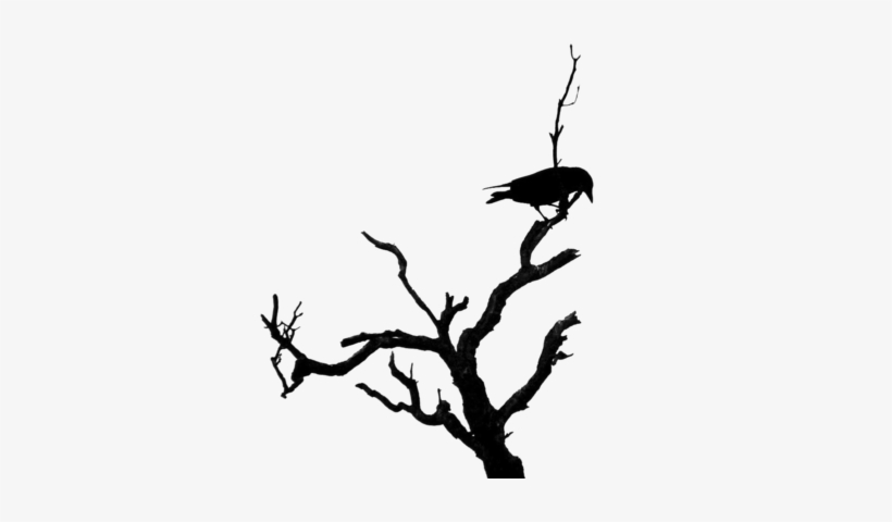 Dead Tree Psd - Bird On Dead Tree, transparent png #183118