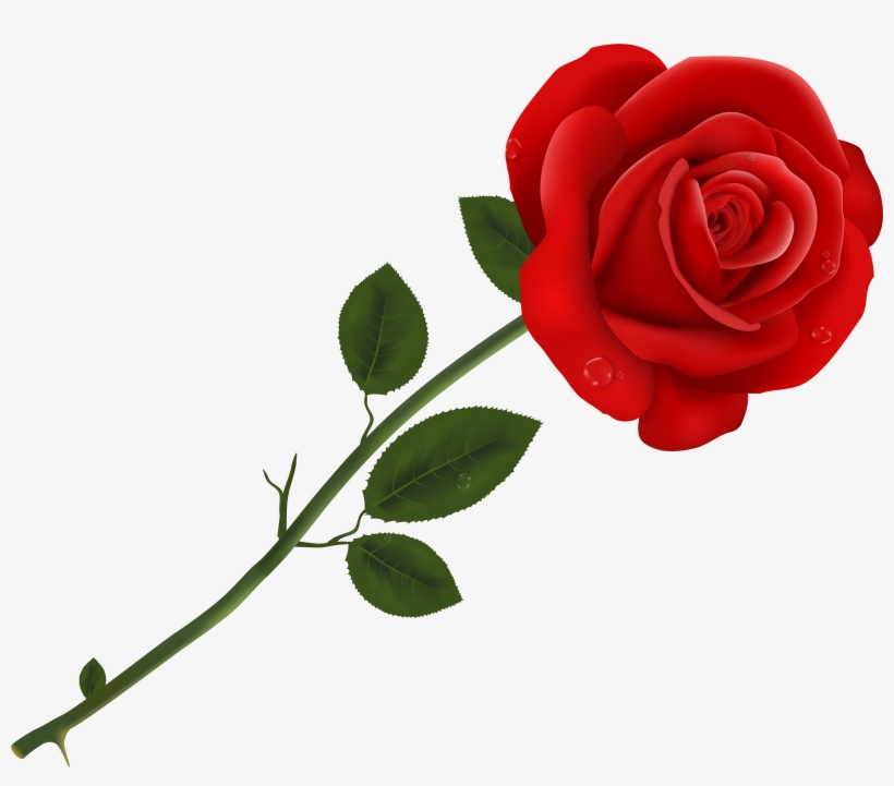 Red Rose Transparent Png Clipart, transparent png #183264