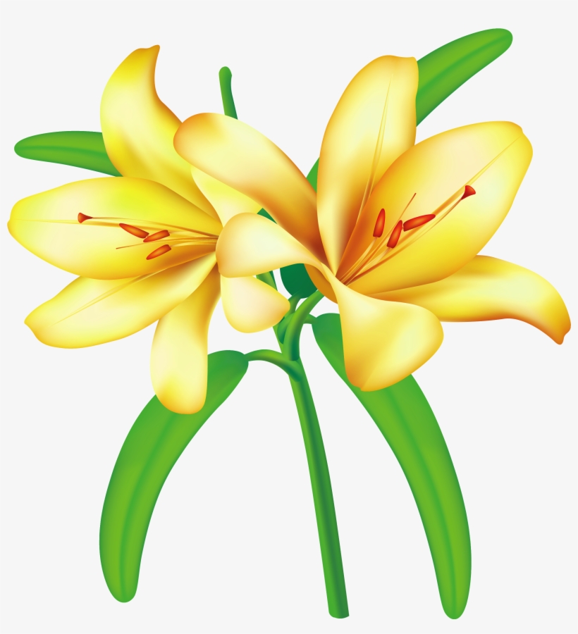 Flowers For Yellow Flower Clip Art Png - Yellow Lily Clip Art, transparent png #183499