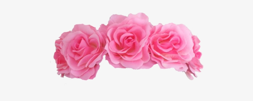 Visit - Flower Crown Pink Png, transparent png #183520