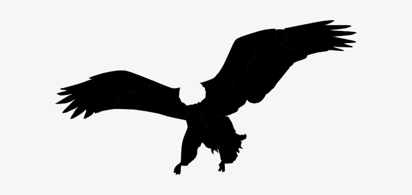 Flying Silhouette - Bald Eagle Silhouette Clip Art, transparent png #183608