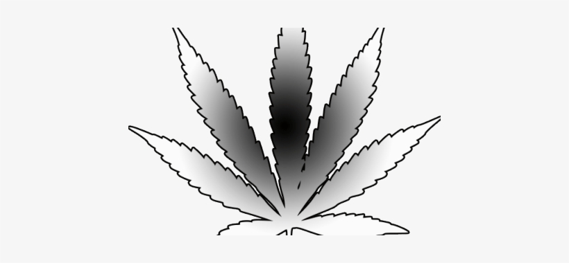 Png Freeuse Download Cannabis Drawing Pencil - Full Black Weed Tattoo, transparent png #183653