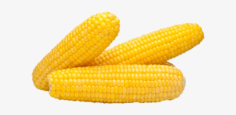 Corn Png - Maize, transparent png #183692