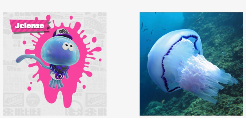 Jelonzo - Jellyfish [book], transparent png #184076