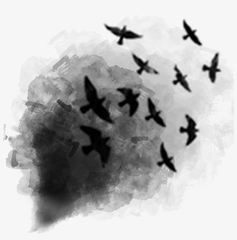 Black Smoke Birds Afterdark Ftestickers - ابتسم لا احد يهتم كيف تشعر, transparent png #184180