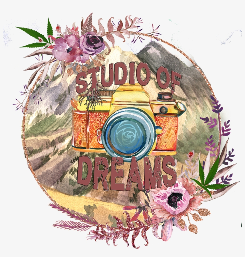 Studio Of - Illustration, transparent png #184356
