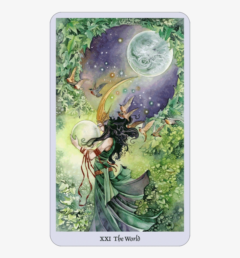 Tarot Card Of The Day The World Now This Card Represents - Fairy Stephanie Pui Mun Law, transparent png #184793