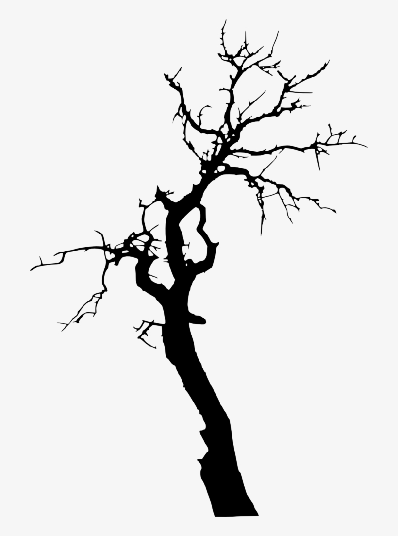 Black And White Tree Transparent Background