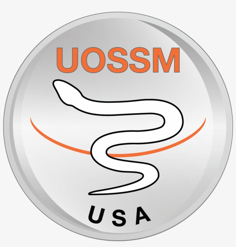 Jboss, transparent png #185542