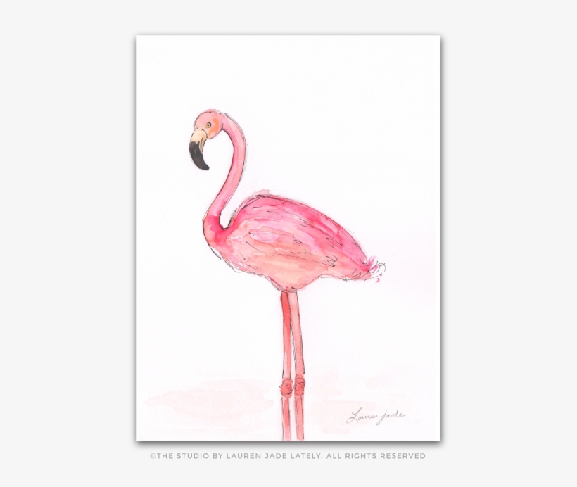 Flamingo No - Two - Drawing, transparent png #185597