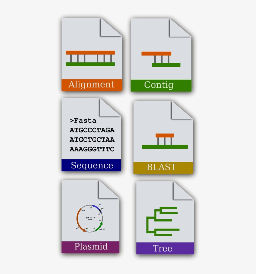 Free - Bioinformatics Vector, transparent png #185644