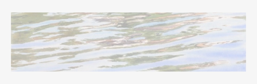 2007 - “, transparent png #185689
