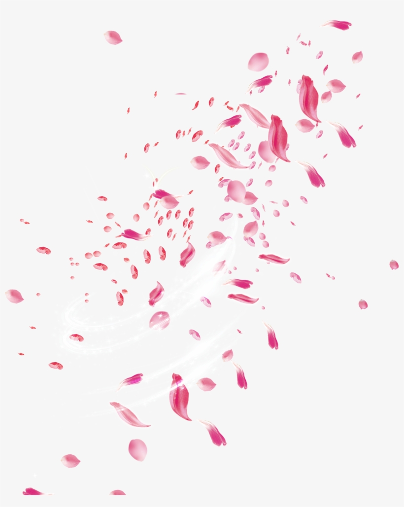 Pink Rose Petal Falling Png - Gambar Bunga Untuk Edit Picsart, transparent png #185725
