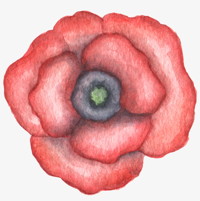 Hand Drawn Gradient Red Flower Watercolor Transparent - Watercolor Painting, transparent png #186011