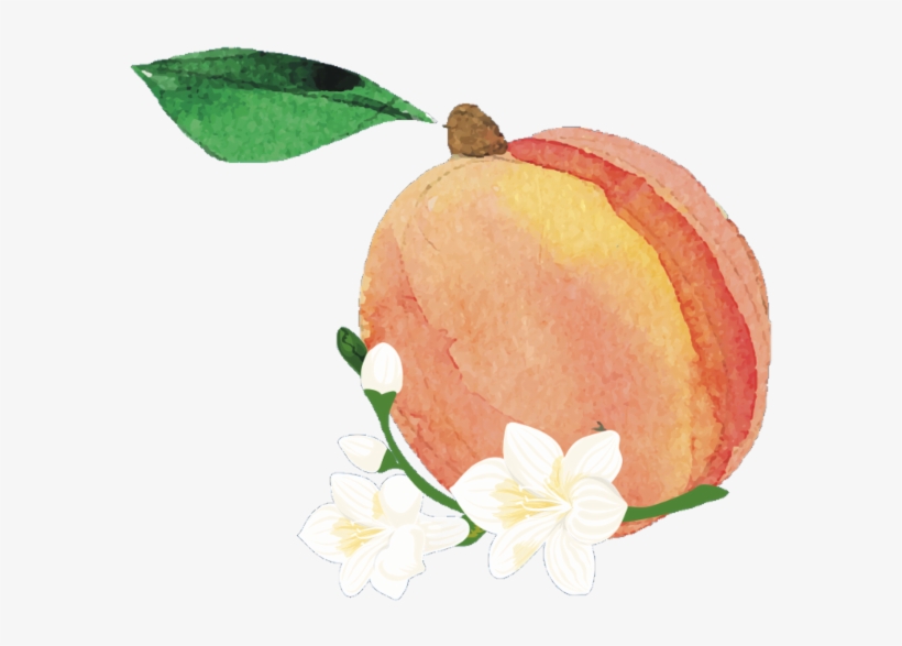 Illustration, transparent png #186172