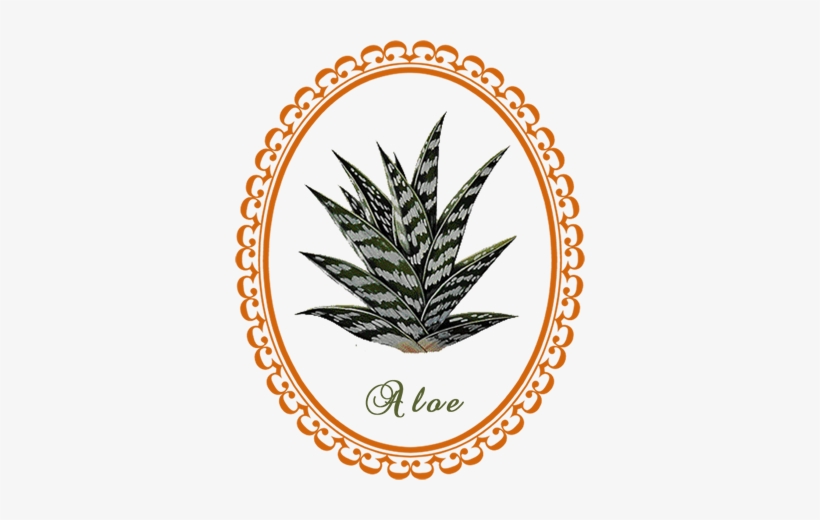 Vera Herb Savvy Crystal - Yarrow Leaf Transparent Art, transparent png #186484