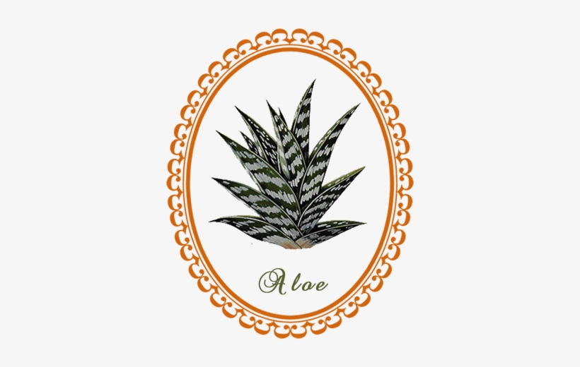 Vera Herb Savvy Crystal - Yarrow Leaf Transparent Art, transparent png #186484