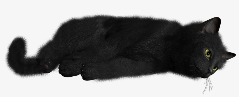 Cat / Image Id - Cat, transparent png #186806