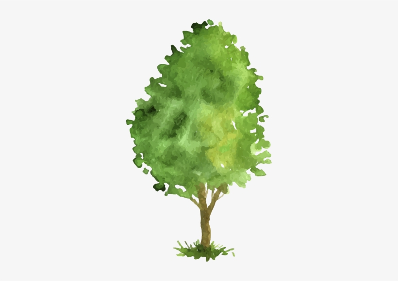 Shiretoko Goko Lakes Visitor Rule Guidelines - Tree, transparent png #187064