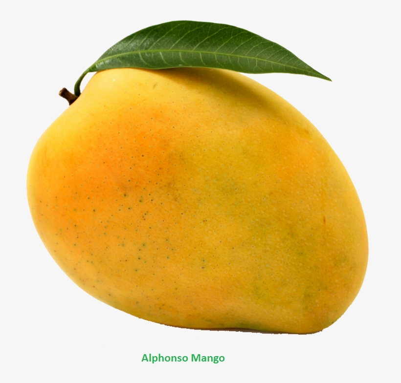 Mango Drawing Colouring - Mango Png, transparent png #187092