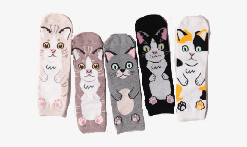 Cat Hug Socks - Sock, transparent png #187204