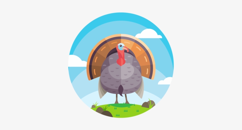 Beautiful Turkey Vector - Domesticated Turkey, transparent png #187414