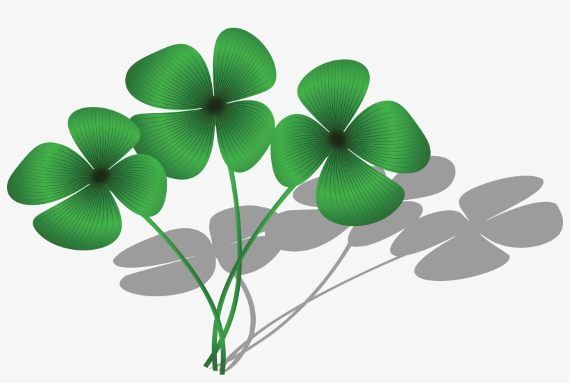 Free Clipart Of A Trio Of Four Leaf Clovers And Shadows - Group Of 4 Leaf Clover, transparent png #187440