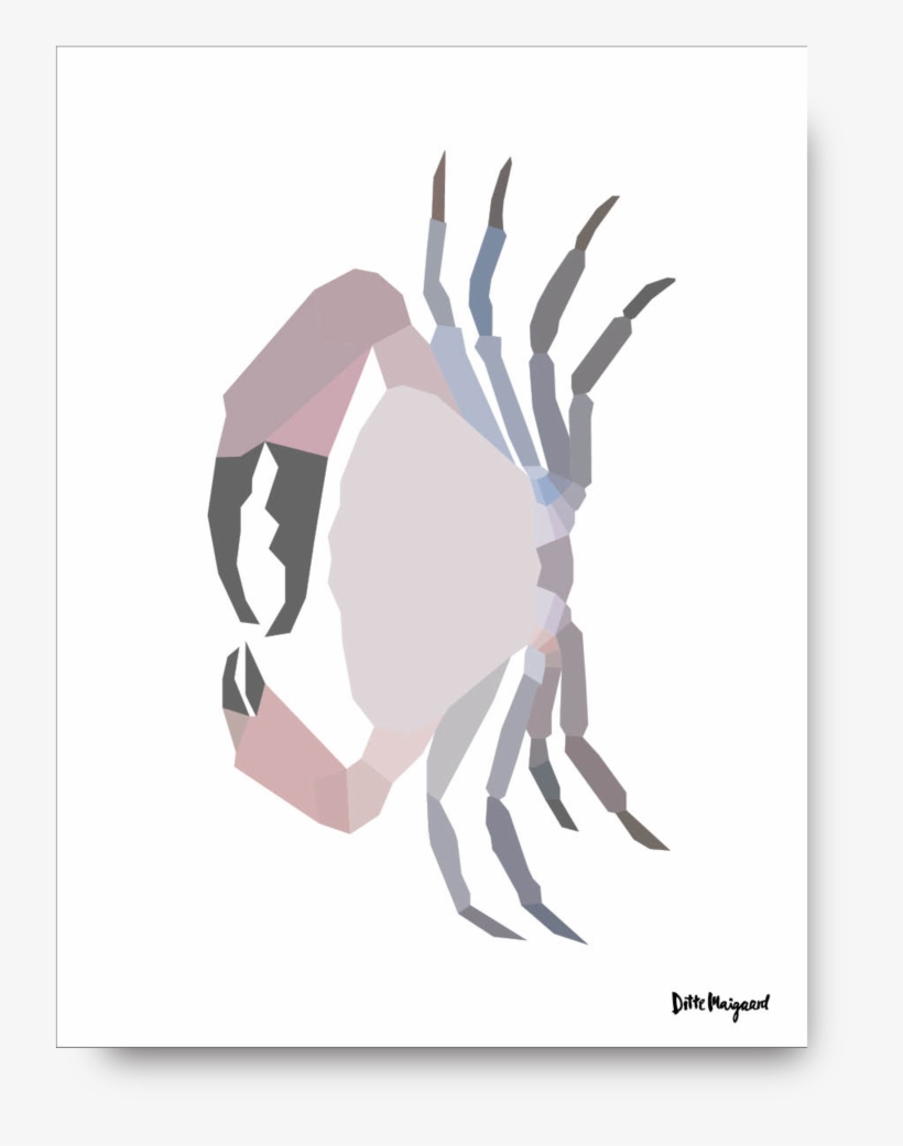 Cousin Crab Poster - Fiddler Crab, transparent png #187483