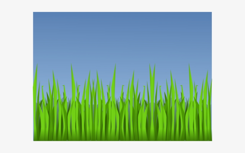 Lawn Clipart Forest - Forest Grass Clipart, transparent png #187542
