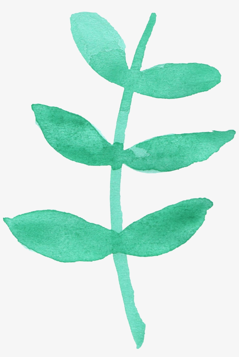 12 Watercolor Leaf Vol, transparent png #187567