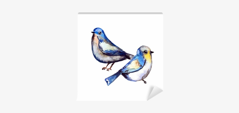 Cute Birds For Your Design - Tablo Center Dekoratif Tablo Ayna 50cm X 50cm Ak28888401, transparent png #187805
