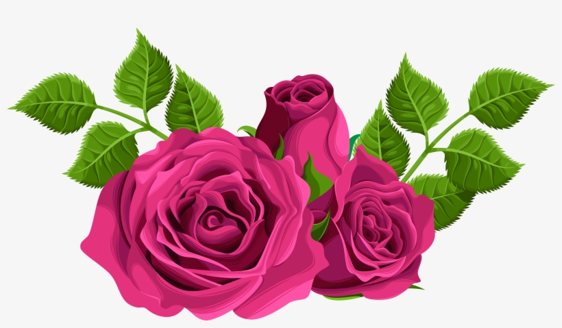 Pink Roses Clip Art, transparent png #187967
