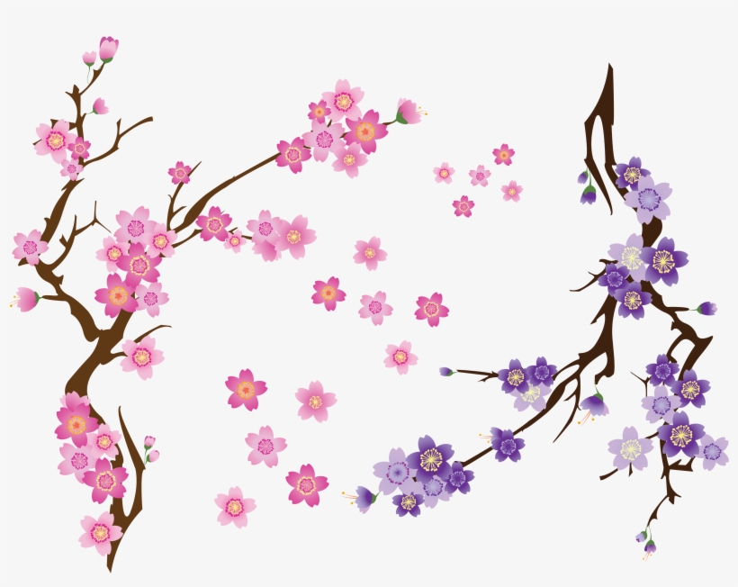 Cherry Blossom Drawing Clip Art - Branch Of Cherry Blossom Png, transparent png #188071