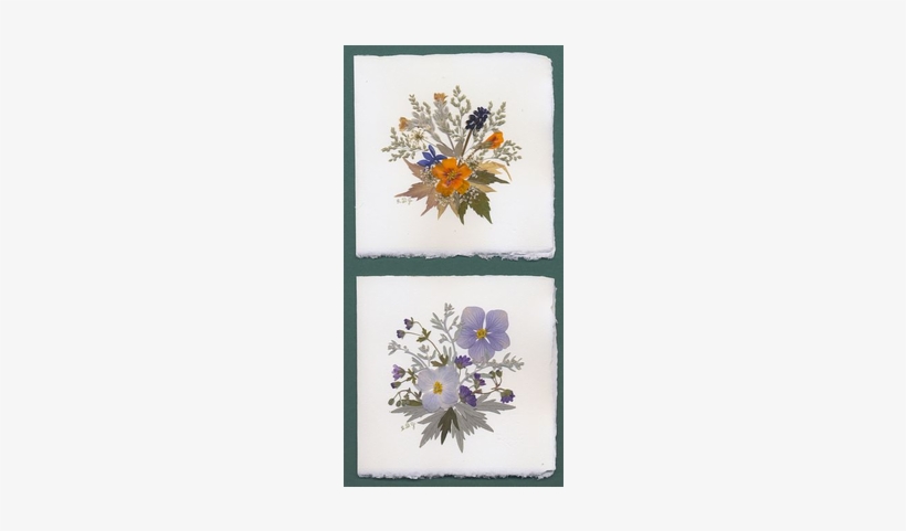 Greeting Cards In Fine Amalfi Paper And Dried Flowers - Craft, transparent png #188266