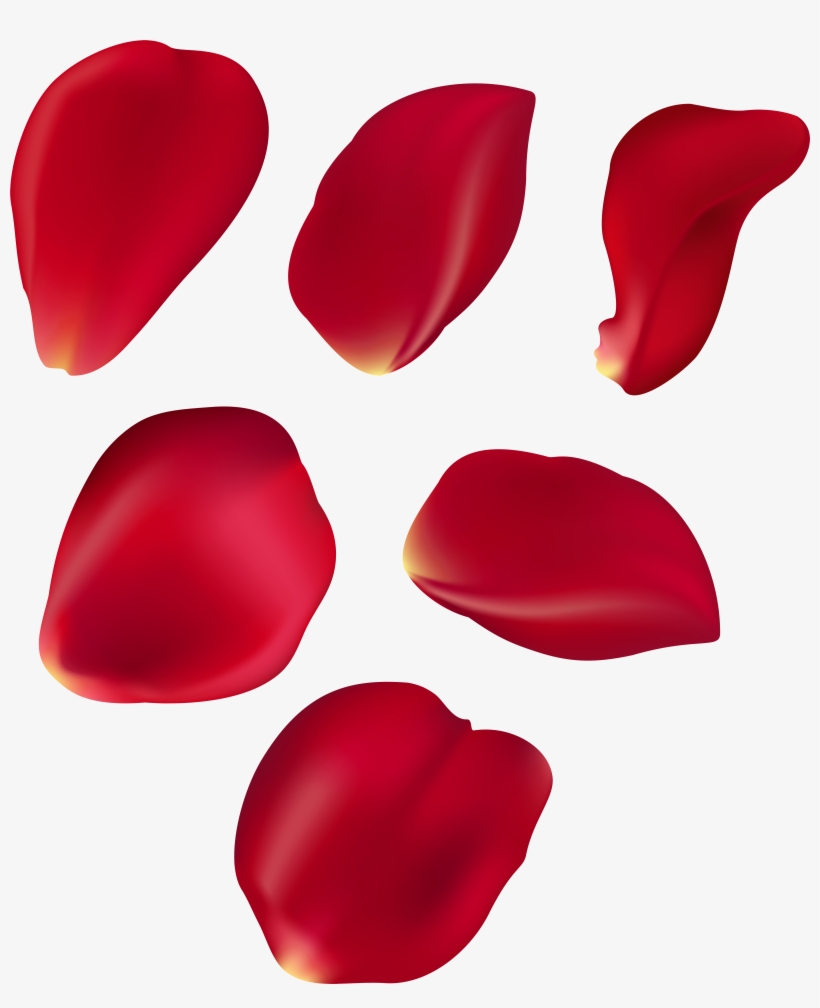 Clip Black And White Rose Petal Set Red Transparent Free Transparent
