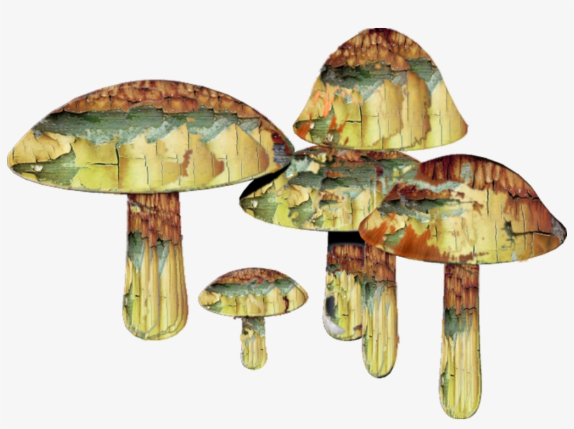 Mushrooms By Mysticmorning On - Mushrooms Drug Png, transparent png #188845