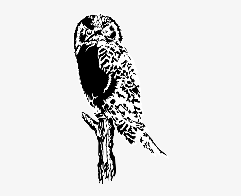 Owl Perched On Dead Tree Svg Clip Arts 330 X 589 Px, transparent png #188848