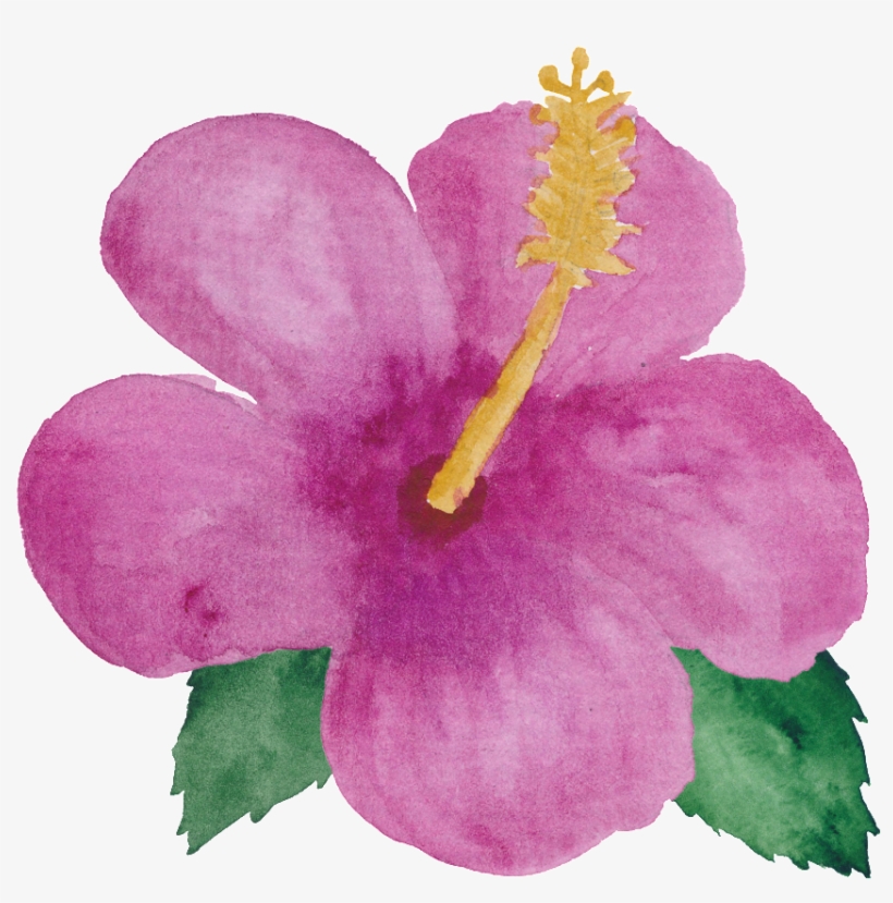 Pink Flower Little Princess Transparent - Petal, transparent png #189046