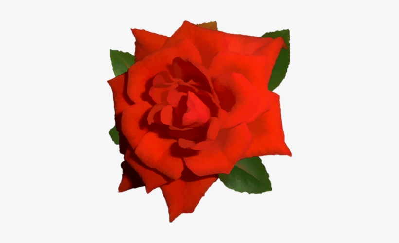Single Red Rose Png - Bright Red Rose Png, transparent png #189126