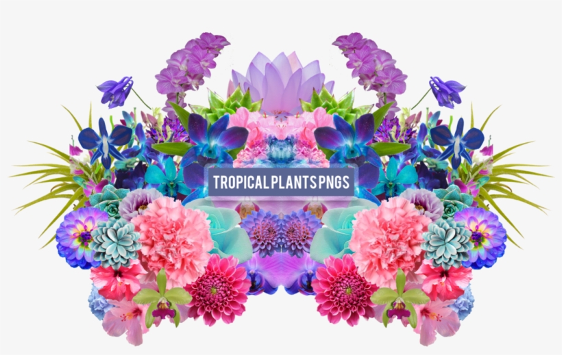 Tropical Plant Png's - Pack Png Plantas, transparent png #189145